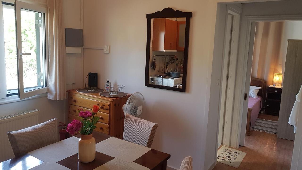 Olga'S Cozy Nest , Apartment In Ano Korakiana. ห้อง รูปภาพ