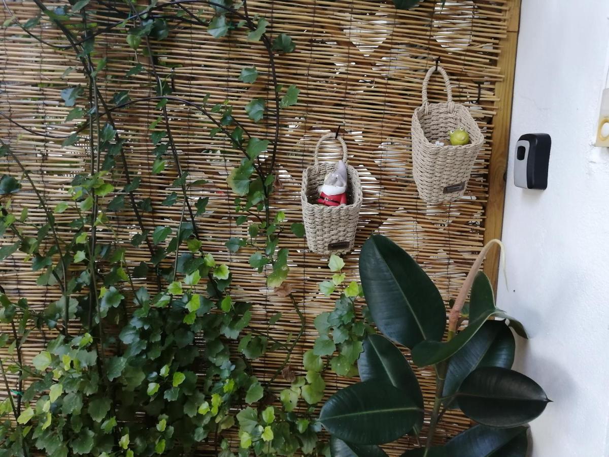 Olga'S Cozy Nest , Apartment In Ano Korakiana. ภายนอก รูปภาพ