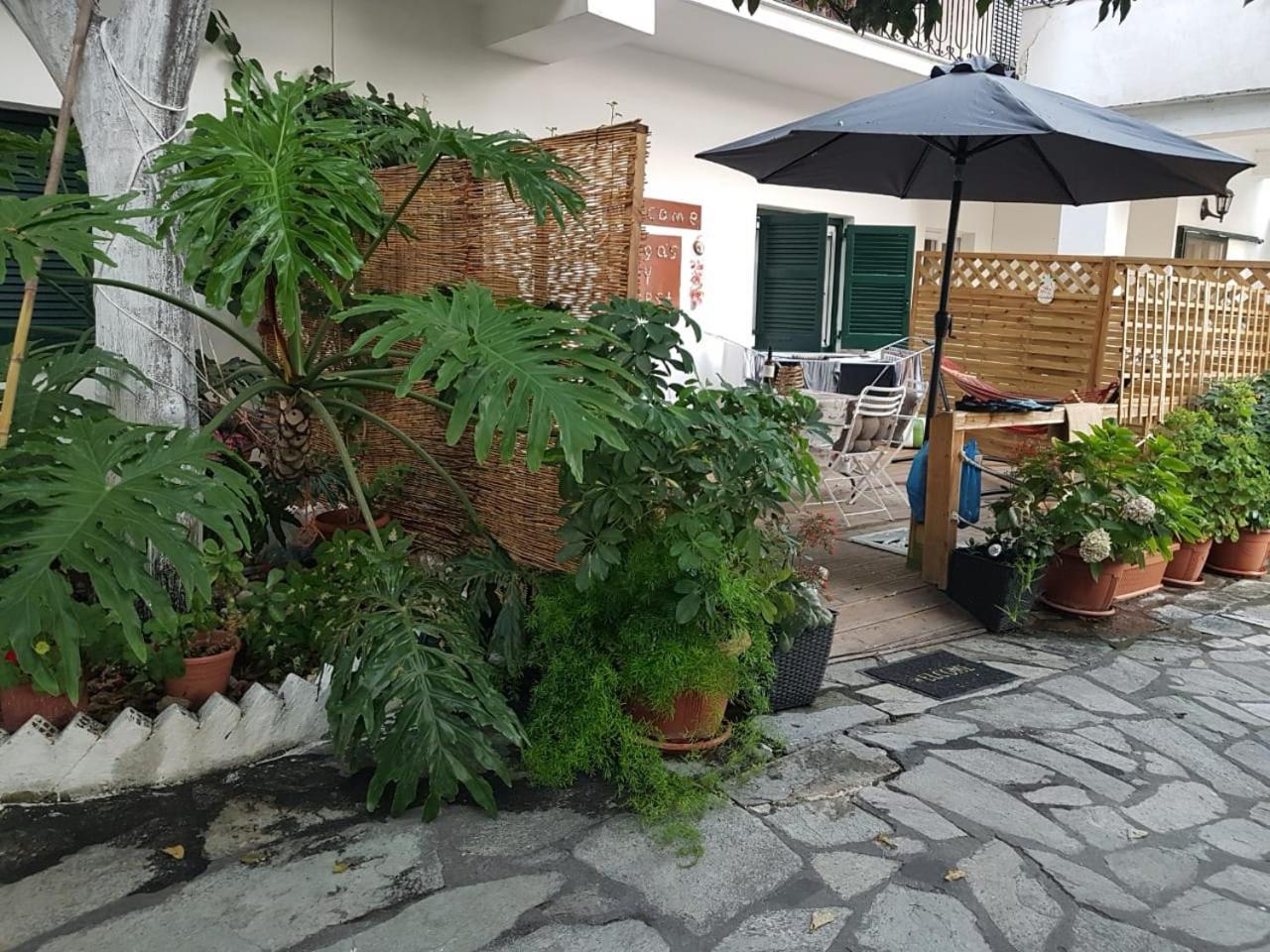 Olga'S Cozy Nest , Apartment In Ano Korakiana. ภายนอก รูปภาพ