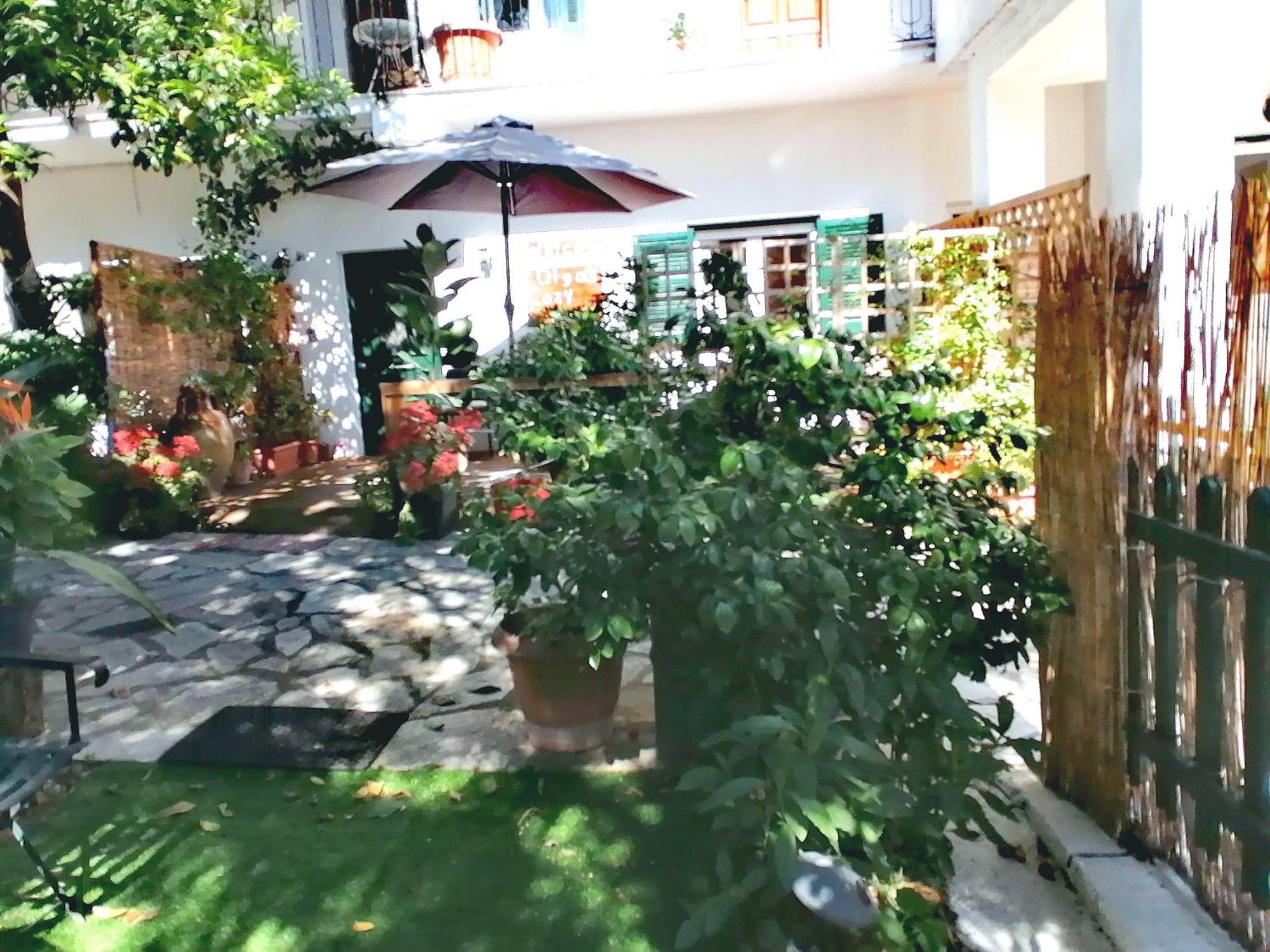 Olga'S Cozy Nest , Apartment In Ano Korakiana. ภายนอก รูปภาพ